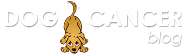 The Dog Cancer Blog logo