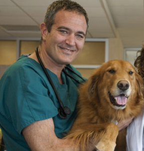 Dr. Demian Dressler holding a golden retriever dog