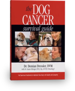 Cover of The Dog Cancer Survival Guide